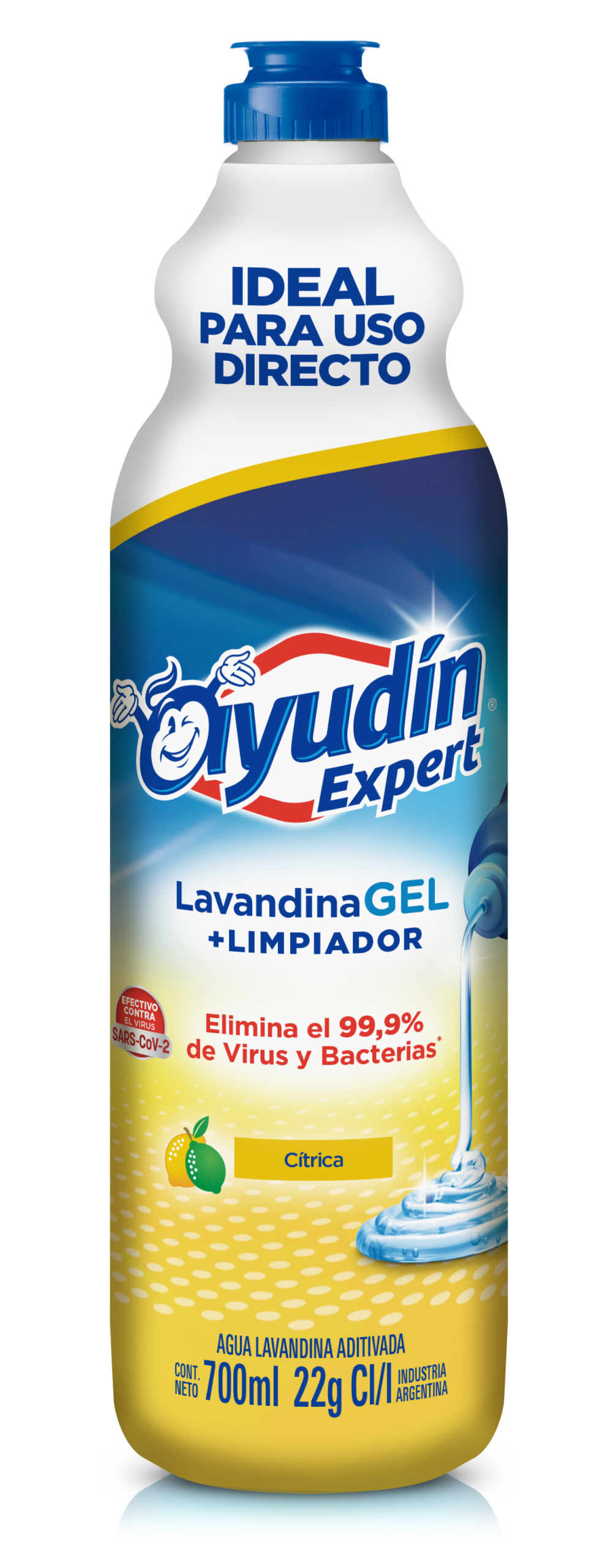 2024_10_10 3D Ayudín AR Lavandina Gel Expert Cítrica 700ml 60234